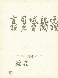 言司城祝晚之小说免费阅读最新章节封面