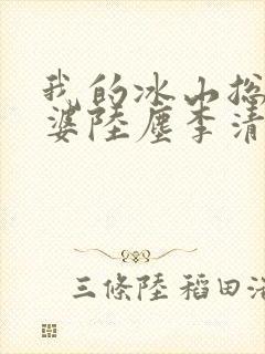 我的冰山总裁老婆陆尘李清瑶免费阅读封面