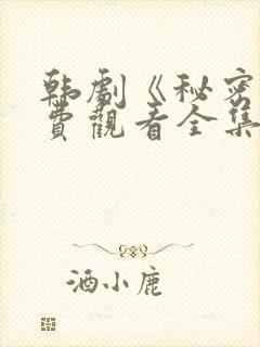 韩剧《秘密》免费观看全集