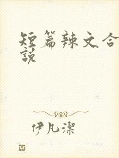 短篇辣文合集小说封面