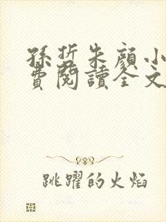 孙哲朱颜小说免费阅读全文最新章节