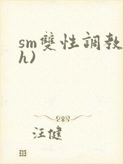 sm双性调教(h)