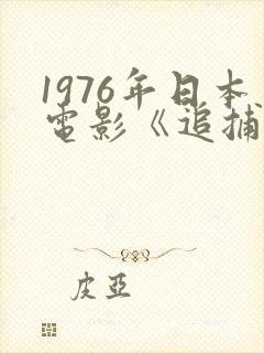 1976年日本电影《追捕》