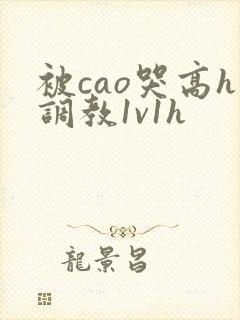 被cao哭高h调教1v1h
