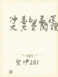 冲喜by孟还全文免费阅读封面