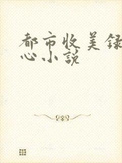 都市收美录宁素心小说