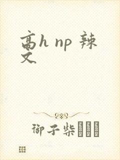 高h np 辣文封面