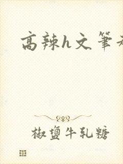 高辣h文笔趣阁
