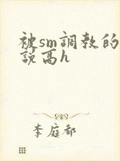 被sm调教的小说高h