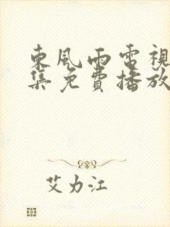 东风雨电视剧全集免费播放在线观看