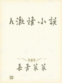 h激情小说