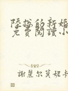 陆总的新婚哑妻免费阅读小说无弹窗