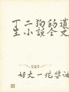 丁二狗的逍遥人生小说全文无删减txt封面