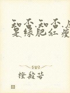 知否.知否.应是绿肥红瘦在线观看