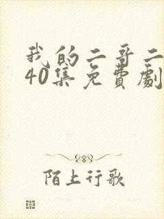 我的二哥二嫂全40集免费剧