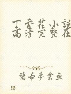 丁香花小说电影高清完整在线播放