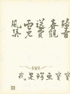 风雨送春归40集免费观看电视剧