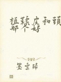 植鞣皮和头层皮哪个好