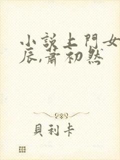 小说上门女婿叶辰,萧初然