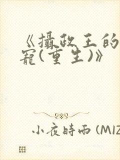 《摄政王的心头宠(重生)》封面