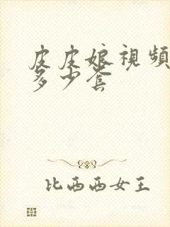 皮皮娘视频一共多少套