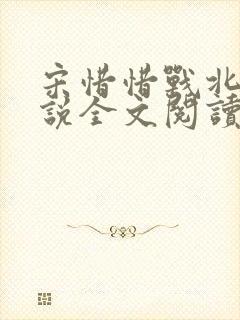 宋惜惜战北望小说全文阅读