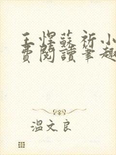 王悍苏祈小说免费阅读笔趣阁最新