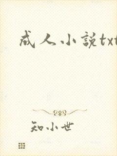 成人小说txt
