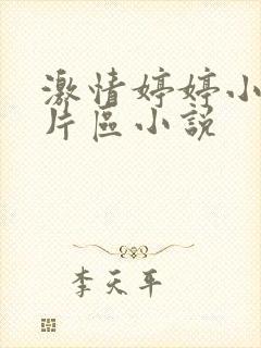 激情婷婷小说图片区小说