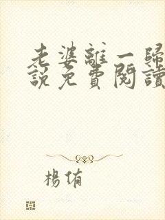 老婆离一归二小说免费阅读封面