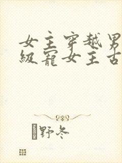 女主穿越男主超级宠女主古言