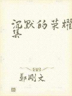 沉默的荣耀40集封面