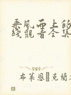 乘风而上的她在线观看全集免费播放封面