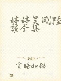 婷婷吴刚陆华小说全集