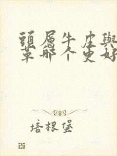 头层牛皮与牛皮革哪个更好