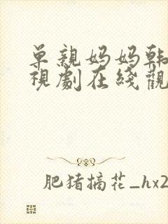 单亲妈妈韩剧电视剧在线观看免费版全集封面