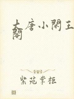 大唐小闲王笔趣阁封面