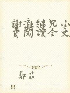 谢澈继兄小说免费阅读全文无弹窗