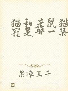 猫和老鼠猫狗争宠是哪一集封面