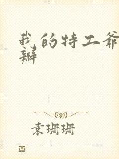 我的特工爷爷豆瓣