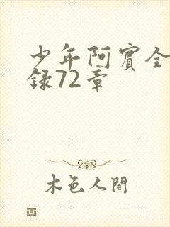 少年阿宾全文目录72章