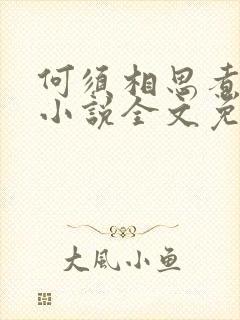 何须相思煮余年小说全文免费阅读