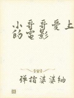 小哥哥爱上大叔的电影