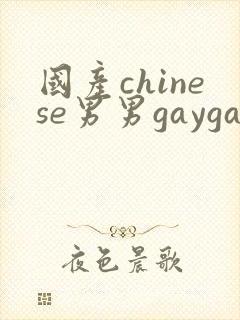 国产chinese男男gaygay网
