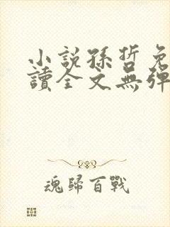 小说孙哲免费阅读全文无弹窗