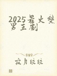 2025最火双男主剧封面