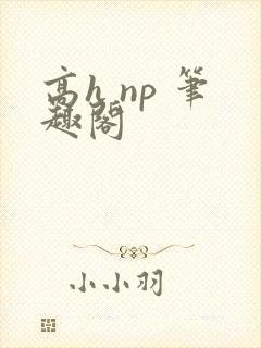 高h np 笔趣阁封面