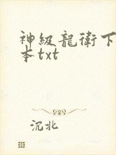 神级龙卫下载全本txt