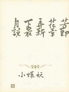 月下弄花芳姨小说最新章节免费阅读封面