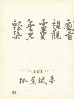 轻年电视剧40集免费观看